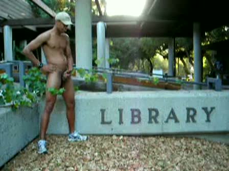 GayDickCoins