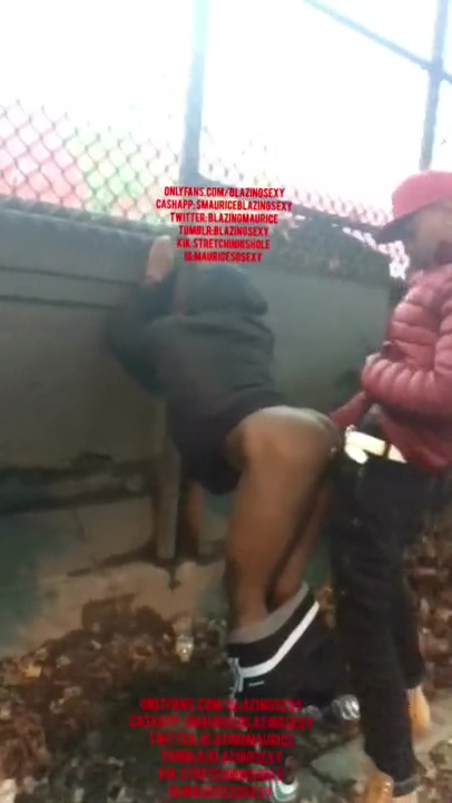 GayDickCoins