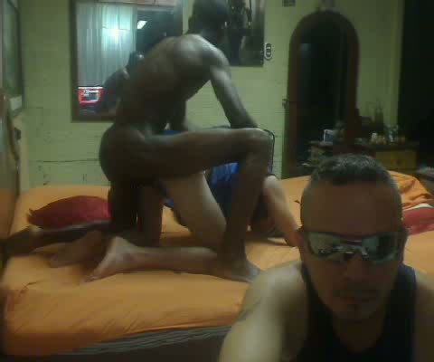 GayDickCoins