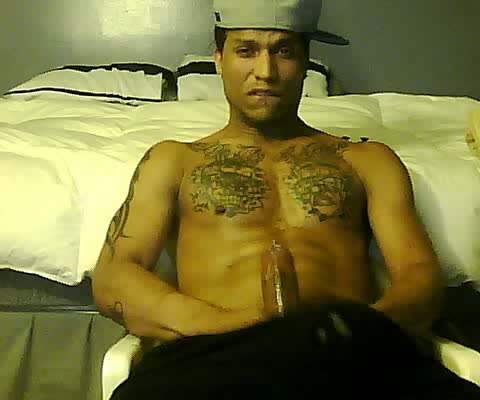 GayDickCoins