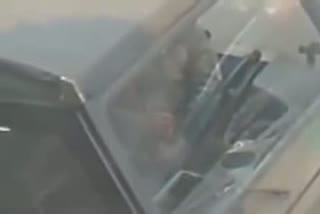 GayDickCoins
