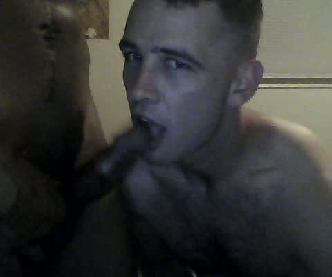GayDickCoins