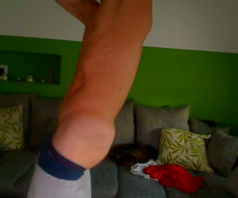 GayDickCoins